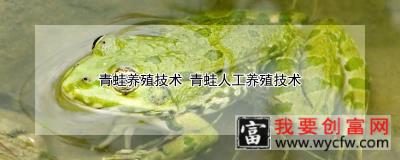 青蛙<a href=https://www.wycfw.com/yangzhi/ target=_blank class=infotextkey>养殖技术</a> 青蛙人工养殖技术