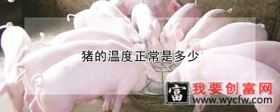 猪的温度正常是多少