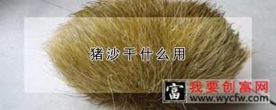 猪沙干什么用