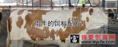 肉牛的饲料配方?