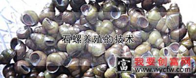 石螺养殖的技术