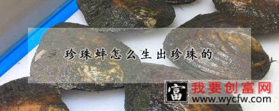 珍珠蚌怎么生出珍珠的