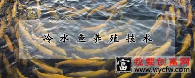 冷水鱼养殖技术