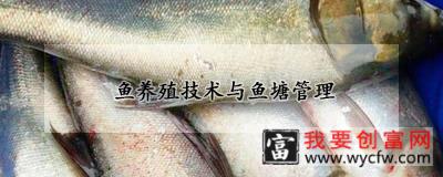 鱼养殖技术与鱼塘管理