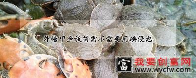 外塘甲鱼放苗需不需要用碘侵泡