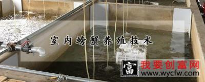 室内螃蟹养殖技术