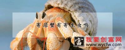 寄居蟹有寄生虫吗