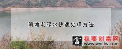 蟹塘老绿水快速处理方法