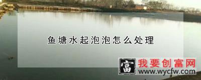 鱼塘水起泡泡怎么处理