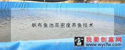 帆布鱼池高密度养鱼技术