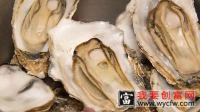 生蚝和牡蛎的区别
