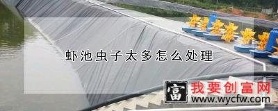 虾池虫子太多怎么处理