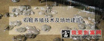 石蛙养殖技术及场地建造