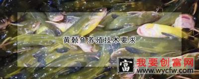 黄颡鱼养殖技术要求