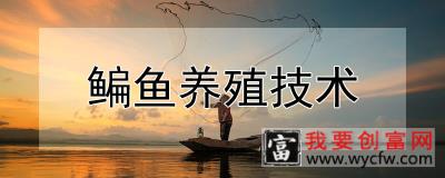 鳊鱼养殖技术