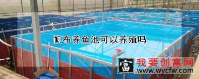 帆布养鱼池可以养殖吗