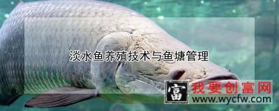 淡水鱼养殖技术与鱼塘管理