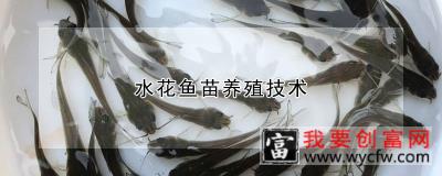 水花鱼苗养殖技术