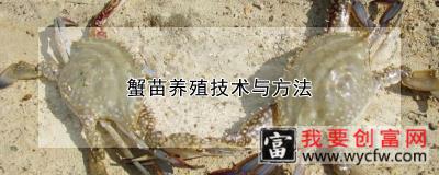 蟹苗养殖技术与方法