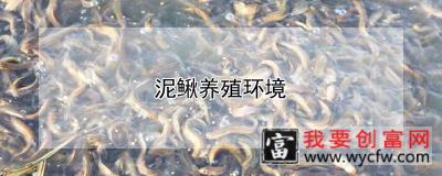 泥鳅养殖环境