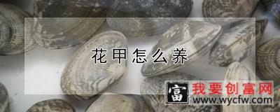 花甲怎么养