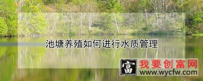 池塘养殖如何进行水质管理