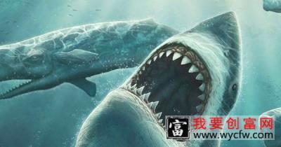 巨齿鲨已经确认灭绝了吗？