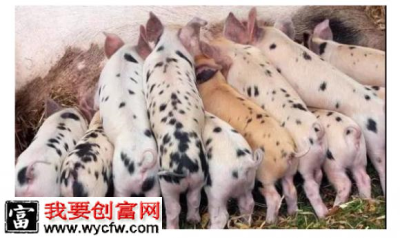 QQ截图20170920152046.png