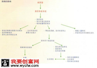 QQ截图20170925105813.png