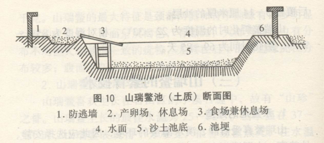 山瑞鳖养殖技术之繁殖孵化-甲鱼养殖技术方法-淡水养殖-我要创富网