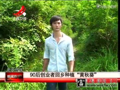 90后创业者回乡种植黄秋葵_高清1080P在线观看平台
