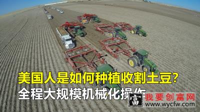 美国是如何种植收割土豆的？全程大规模机械化操作，令人大开眼界