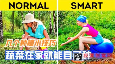  几个种植小技巧，蔬菜在家就能自己种，不花钱的蔬菜难道不香吗？