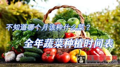 蔬菜全年种植时间表