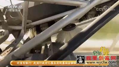 探秘智能玻璃大棚温室栽培，种植技术让人大开眼界