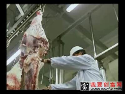 西门塔尔牛养殖技术 西门塔尔牛人工养殖技术 饲料配比管理