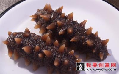 海参养殖技术大全—海参的选择—海参养殖工具