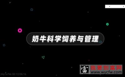 第二讲 牛饲养技术  2.2现代生态养殖技术 奶牛科学饲养与管理