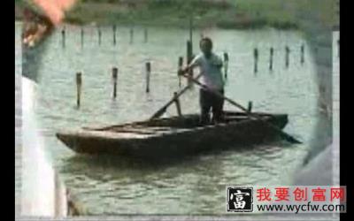 河蟹高产养殖技术 高产养殖河蟹技术 高效养殖技术