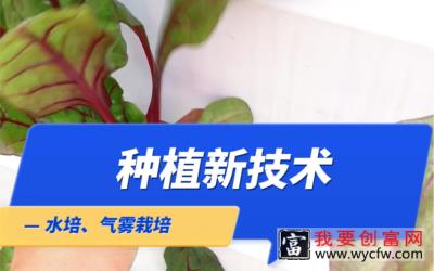 只有新技术才能给行业带来颠覆式的发展。 #技术 #种植