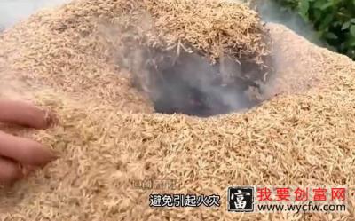 在家自制营养土，种花种菜好帮手！ #三农 #农业种植 #种植技术