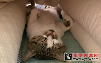 今天还是讨论大棚种植技术