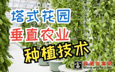 塔式花园垂直农业现代化种植技术