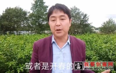 四川种植技术员，现场实战栽种果苗，成活率能达到98%！