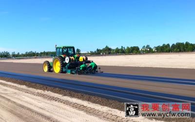 美国农民草莓种植技术