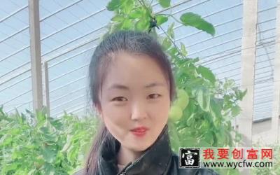 记住这个施肥顺口溜，种啥都长的好！农业种植技术农业种植