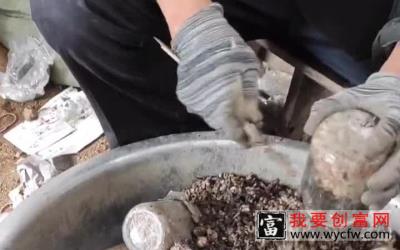 种植季节马上就要到了，种植技术赶紧学起来，记得点赞收藏。