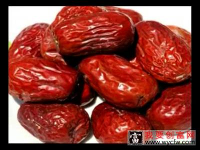 枣树科学农业种植技术 高效栽培关键技术教程