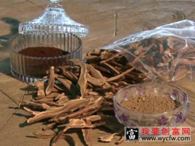 灵芝的栽培种植技术 如何栽培灵芝教程 疾病防治