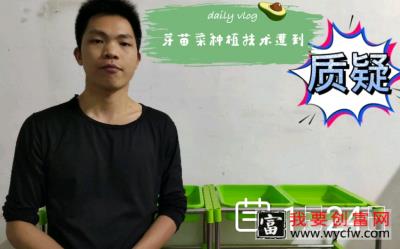 芽苗菜种植技术分享，有粉丝出1W mai我的技术，该不该答应呢？